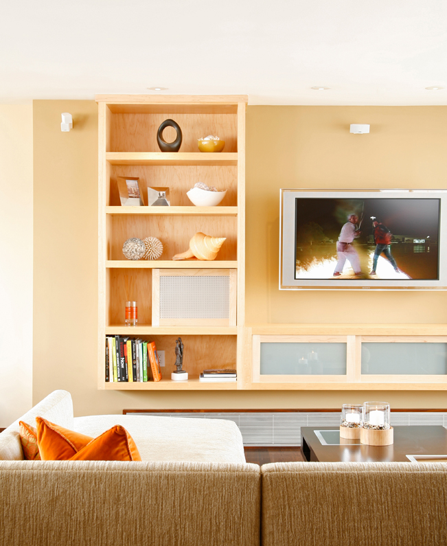 san francsico, chestunut st., remodel, high rise, interior architecture, open kitchen, open living room, living room, custom furniture, custom built in, Interior design, high end interior design